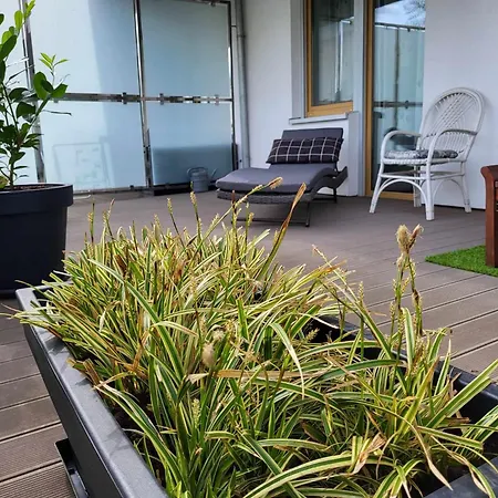 Apartment Miodowy Dom Exspanse 2 Lub 3 Z Tarasem I Parkingiem *